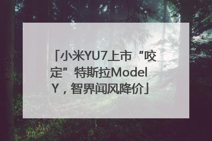 小米YU7上市“咬定”特斯拉Model Y，智界闻风降价