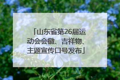 山东省第26届运动会会徽、吉祥物、主题宣传口号发布