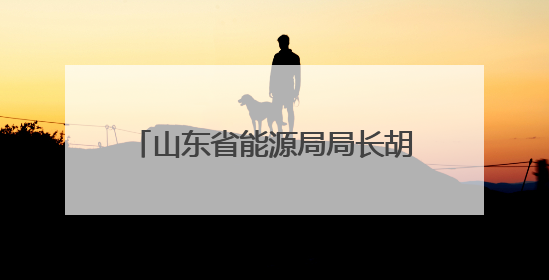 山东省能源局局长胡薄调任滨州市委常委、市政府党组副书记