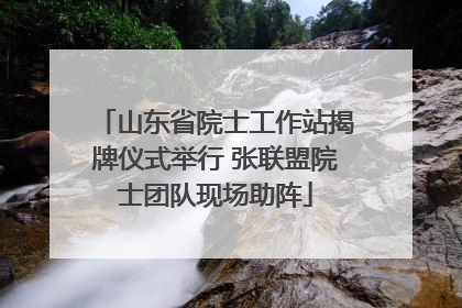 山东省院士工作站揭牌仪式举行 张联盟院士团队现场助阵