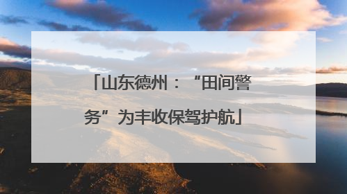 山东德州：“田间警务”为丰收保驾护航