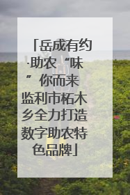 岳成有约·助农“味”你而来 监利市柘木乡全力打造数字助农特色品牌