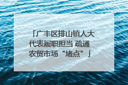 广丰区排山镇人大代表履职担当 疏通农贸市场“堵点”