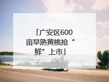 广安区600亩早熟黄桃抢“鲜”上市