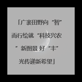 广袤田野向“智”而行绘就“科技兴农”新图景 好“丰”光传递新希望