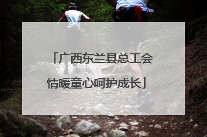 广西东兰县总工会情暖童心呵护成长