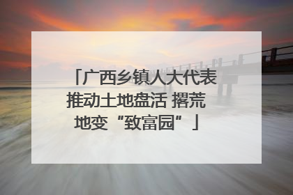广西乡镇人大代表推动土地盘活 撂荒地变“致富园”