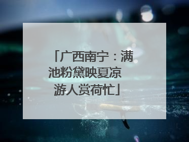 广西南宁：满池粉黛映夏凉 游人赏荷忙