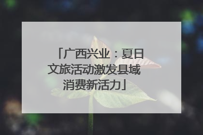 广西兴业：夏日文旅活动激发县域消费新活力