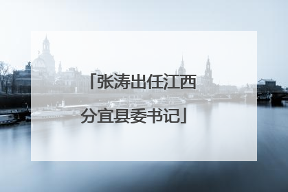 张涛出任江西分宜县委书记