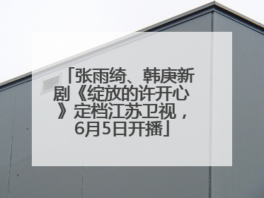 张雨绮、韩庚新剧《绽放的许开心》定档江苏卫视，6月5日开播