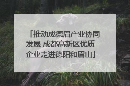 推动成德眉产业协同发展 成都高新区优质企业走进德阳和眉山