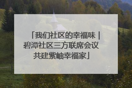 我们社区的幸福味｜碧潭社区三方联席会议共建紫岫幸福家