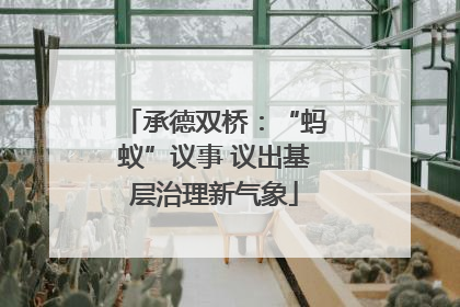 承德双桥：“蚂蚁”议事 议出基层治理新气象