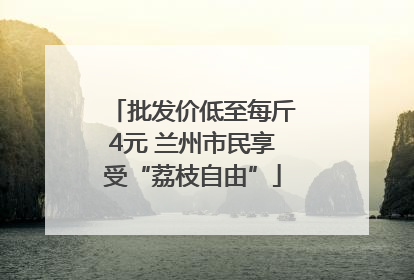 批发价低至每斤4元 兰州市民享受“荔枝自由”