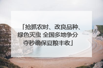 抢抓农时、改良品种、绿色灭虫 全国多地争分夺秒确保夏粮丰收