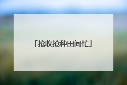 抢收抢种田间忙