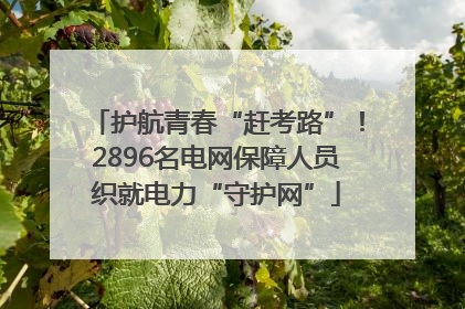 护航青春“赶考路”！2896名电网保障人员织就电力“守护网”