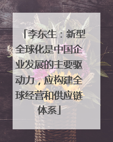 李东生：新型全球化是中国企业发展的主要驱动力，应构建全球经营和供应链体系