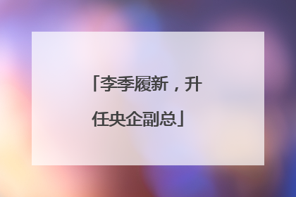 李季履新，升任央企副总