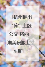 杭州推出“荷”主题公交 将西湖美景搬上车厢