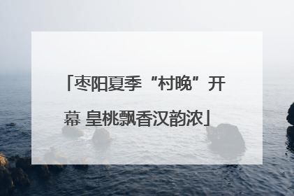 枣阳夏季“村晚”开幕 皇桃飘香汉韵浓