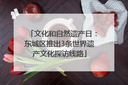 文化和自然遗产日：东城区推出3条世界遗产文化探访线路