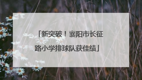 新突破！襄阳市长征路小学排球队获佳绩