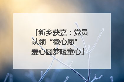 新乡获嘉：党员认领“微心愿” 爱心圆梦暖童心