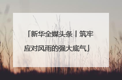 新华全媒头条丨筑牢应对风雨的强大底气