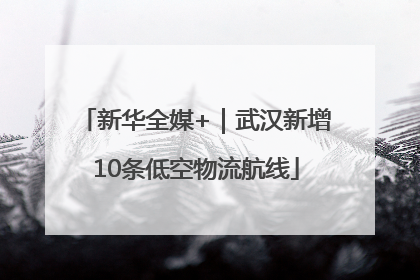 新华全媒+｜武汉新增10条低空物流航线
