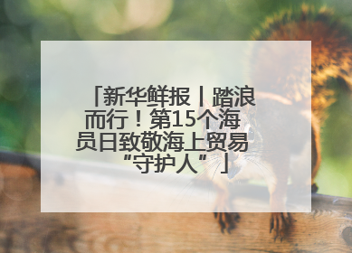 新华鲜报丨踏浪而行！第15个海员日致敬海上贸易“守护人”