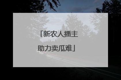 新农人播主 助力卖瓜难