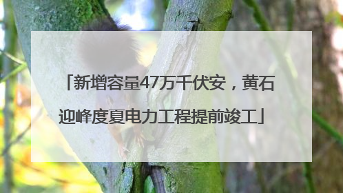 新增容量47万千伏安，黄石迎峰度夏电力工程提前竣工