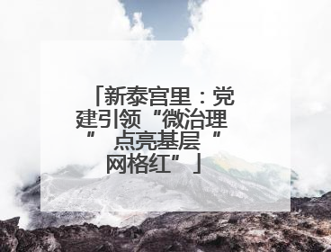 新泰宫里：党建引领“微治理” 点亮基层“网格红”