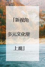 新视角 多元文化壁上观