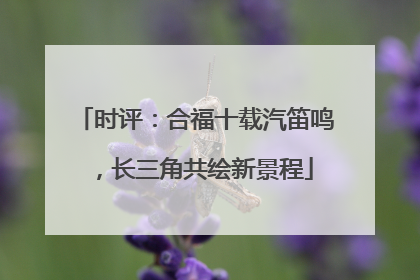 时评：合福十载汽笛鸣，长三角共绘新景程