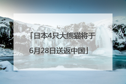日本4只大熊猫将于6月28日送返中国