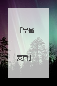 旱碱麦香