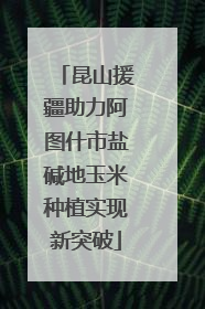 昆山援疆助力阿图什市盐碱地玉米种植实现新突破