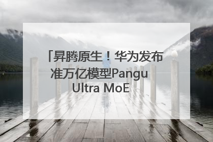 昇腾原生！华为发布准万亿模型Pangu Ultra MoE模型架构和训练细节