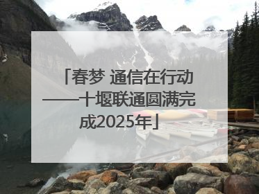 春梦 通信在行动——十堰联通圆满完成2025年