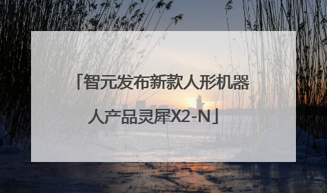 智元发布新款人形机器人产品灵犀X2-N