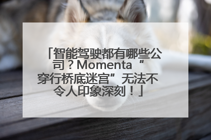 智能驾驶都有哪些公司？Momenta“穿行桥底迷宫”无法不令人印象深刻！