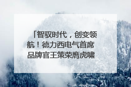 智驭时代，创变领航！德力西电气首席品牌官王策荣膺虎啸奖年度品牌人物