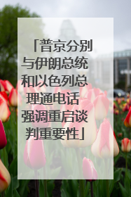 普京分别与伊朗总统和以色列总理通电话 强调重启谈判重要性
