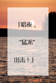 暗夜，“猛龙”出击！