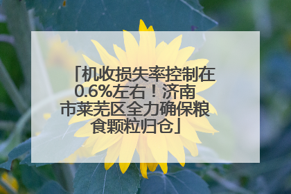 机收损失率控制在0.6%左右！济南市莱芜区全力确保粮食颗粒归仓