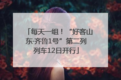 每天一组！“好客山东·齐鲁1号”第二列列车12日开行