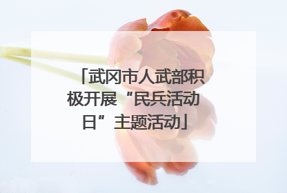 武冈市人武部积极开展“民兵活动日”主题活动